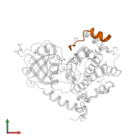 cAMP-dependent protein kinase inhibitor alpha in PDB entry 2vo0, assembly 1, front view.