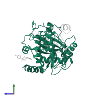 cAMP-dependent protein kinase catalytic subunit alpha in PDB entry 2vo7, assembly 1, side view.