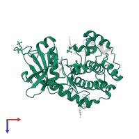 cAMP-dependent protein kinase catalytic subunit alpha in PDB entry 2vo7, assembly 1, top view.