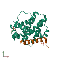 PDB entry 2voh coloured by chain, front view.