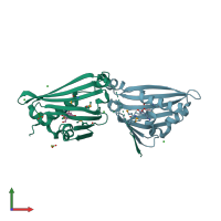 PDB entry 2vq5 coloured by chain, front view.