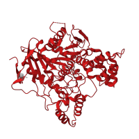 The deposited structure of PDB entry 2vq6 contains 1 copy of CATH domain 3.40.50.1820 (Rossmann fold) in Acetylcholinesterase. Showing 1 copy in chain A.