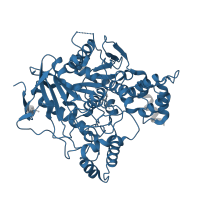 The deposited structure of PDB entry 2vq6 contains 1 copy of Pfam domain PF00135 (Carboxylesterase family) in Acetylcholinesterase. Showing 1 copy in chain A.