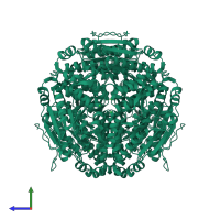 Homo hexameric assembly 1 of PDB entry 2vre coloured by chemically distinct molecules, side view.