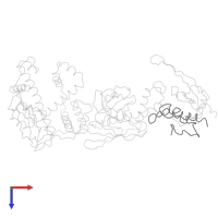 Large ribosomal subunit protein uL29 in PDB entry 2vrh, assembly 1, top view.