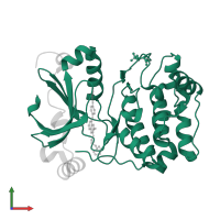 Aurora kinase B-A in PDB entry 2vrx, assembly 1, front view.