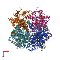PDB entry 2vsu coloured by chain, top view.