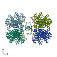 PDB entry 2vtz coloured by chain, front view.