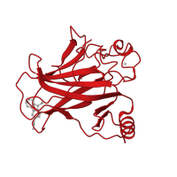 The deposited structure of PDB entry 2vuk contains 2 copies of CATH domain 2.60.40.720 (Immunoglobulin-like) in Cellular tumor antigen p53. Showing 1 copy in chain B.