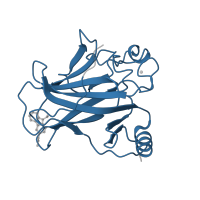 The deposited structure of PDB entry 2vuk contains 2 copies of Pfam domain PF00870 (P53 DNA-binding domain) in Cellular tumor antigen p53. Showing 1 copy in chain B.