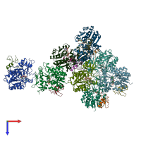 PDB entry 2vuu coloured by chain, top view.