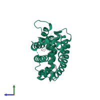 Peroxisome proliferator-activated receptor gamma in PDB entry 2vv0, assembly 1, side view.
