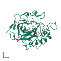 PDB entry 2vva coloured by chain, front view.