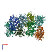 PDB entry 2vvl coloured by chain, top view.
