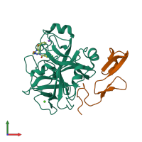 PDB entry 2vvv coloured by chain, front view.