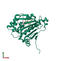 PDB entry 2vwc coloured by chain, front view.