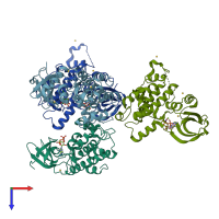 PDB entry 2vwi coloured by chain, top view.