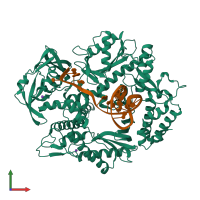 PDB entry 2vwj coloured by chain, front view.
