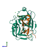 PDB entry 2vwn coloured by chain, side view.
