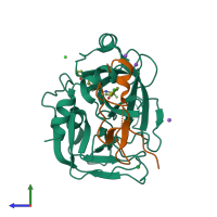 PDB entry 2vwo coloured by chain, side view.