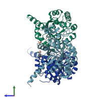 PDB entry 2vws coloured by chain, side view.