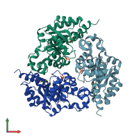 PDB entry 2vwt coloured by chain, front view.