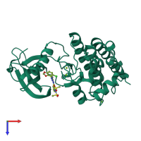 Monomeric assembly 1 of PDB entry 2vwz coloured by chemically distinct molecules, top view.