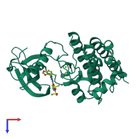 PDB entry 2vwz coloured by chain, top view.