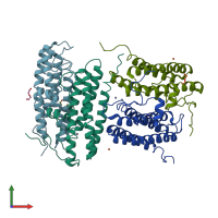 PDB entry 2vxx coloured by chain, front view.