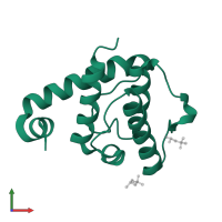 Alpha-parvin in PDB entry 2vzc, assembly 2, front view.