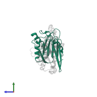 Glutamate N-acetyltransferase 2 alpha chain in PDB entry 2vzk, assembly 1, side view.