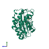 PDB entry 2w06 coloured by chain, side view.