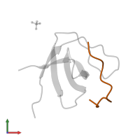 Tyrosine-protein phosphatase non-receptor type 23 in PDB entry 2w10, assembly 1, front view.