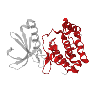 The deposited structure of PDB entry 2w1f contains 1 copy of CATH domain 1.10.510.10 (Transferase(Phosphotransferase); domain 1) in Aurora kinase A. Showing 1 copy in chain A.