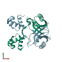 PDB entry 2w25 coloured by chain, front view.