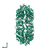 Homo 14-meric assembly 1 of PDB entry 2w2c coloured by chemically distinct molecules, side view.