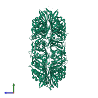 Calcium/calmodulin-dependent protein kinase type II subunit delta in PDB entry 2w2c, assembly 1, side view.
