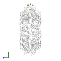 CADMIUM ION in PDB entry 2w2c, assembly 1, side view.