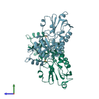 PDB entry 2w2g coloured by chain, side view.