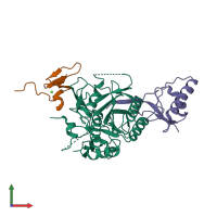 PDB entry 2w2o coloured by chain, front view.
