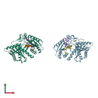 PDB entry 2w42 coloured by chain, front view.
