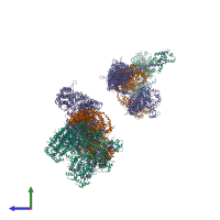 PDB entry 2w4g coloured by chain, ensemble of 20 models, side view.