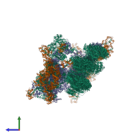 PDB entry 2w4t coloured by chain, ensemble of 43 models, side view.