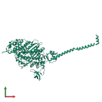 Myosin heavy chain, striated muscle in PDB entry 2w4t, assembly 1, front view.