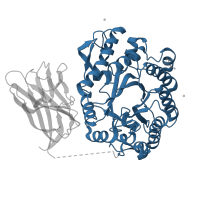 The deposited structure of PDB entry 2w5f contains 2 copies of CATH domain 3.20.20.80 (TIM Barrel) in Endo-1,4-beta-xylanase Y. Showing 1 copy in chain B.