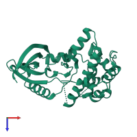 Serine/threonine-protein kinase Nek2 in PDB entry 2w5h, assembly 1, top view.