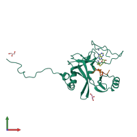 PDB entry 2w5z coloured by chain, front view.