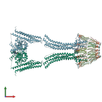 PDB entry 2w6d coloured by chain, front view.