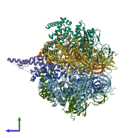 PDB entry 2w6g coloured by chain, side view.