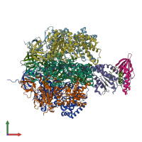 PDB entry 2w6h coloured by chain, front view.